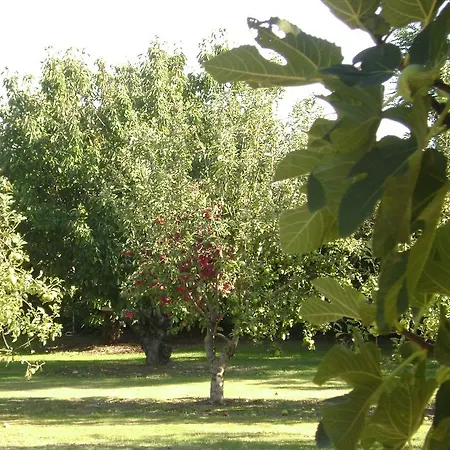 La Gourmandine Casa vacanze