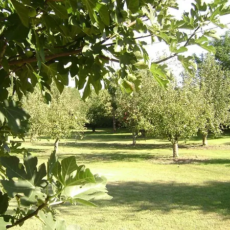 La Gourmandine Saint-Andiol